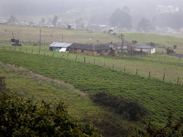 Ruta agroturística en Usme.