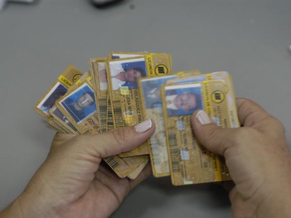 Licencias de conducción