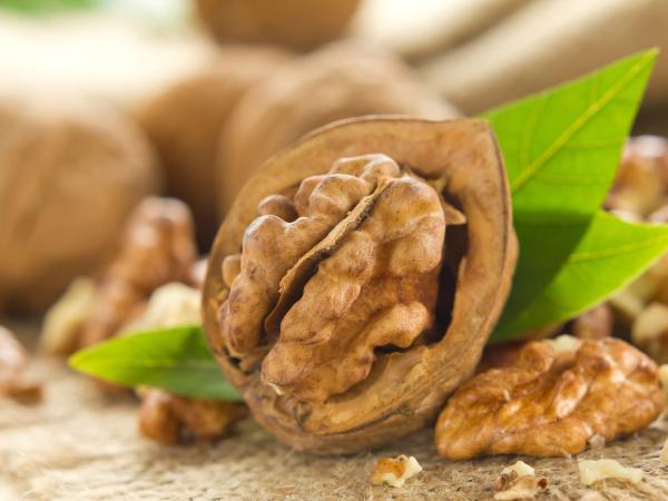 Nueces. Los científicos no saben cómo los ácidos grasos omega-3 ejercen un efecto protector sobre el cerebro, pero la investigac