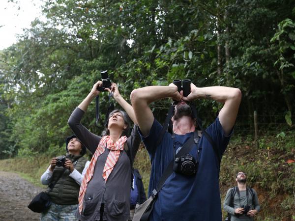 Turismo de aves