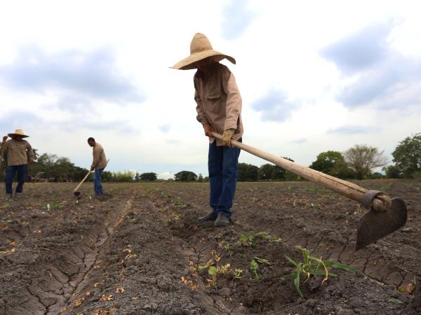 Reforma agraria