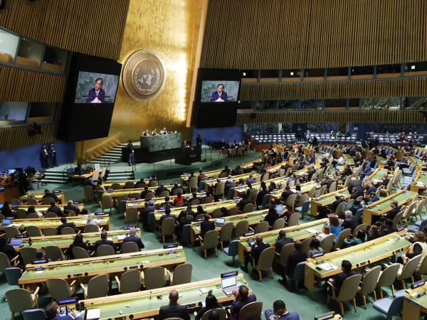 Asamblea General de la ONU