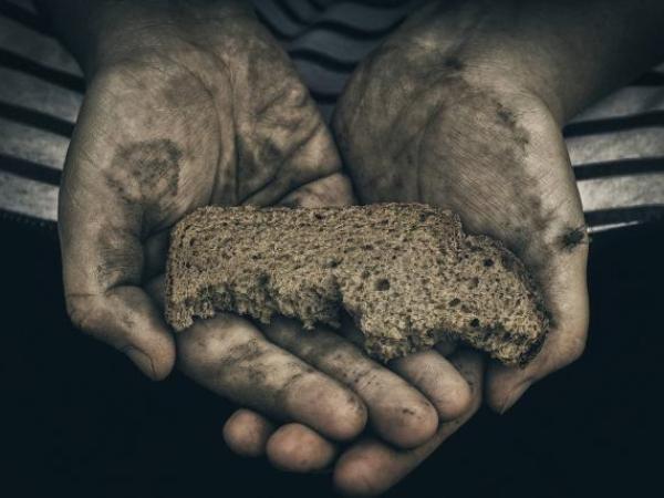 Inseguridad alimentaria