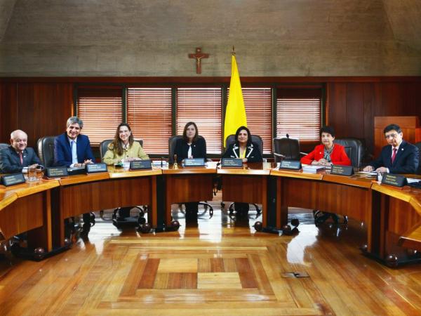 Corte Constitucional