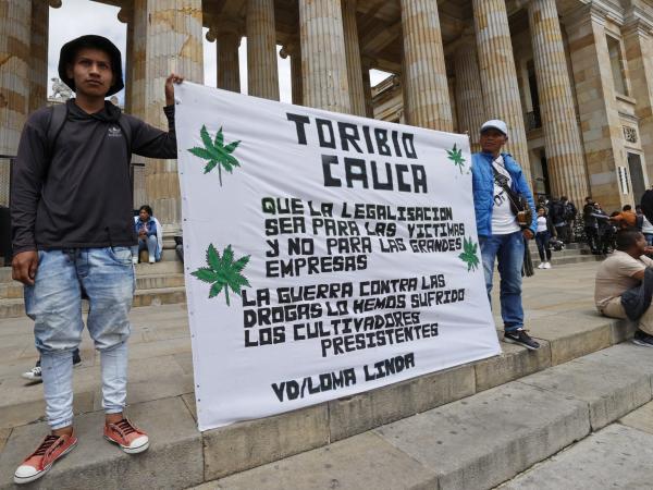 Legalización del cannabis