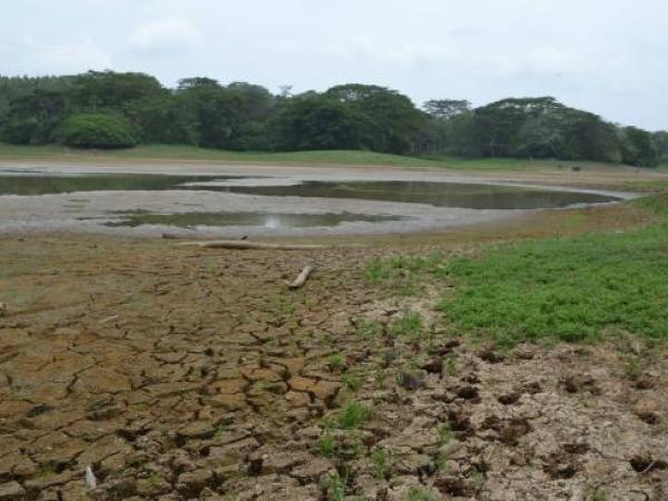 Fenómeno de El Niño