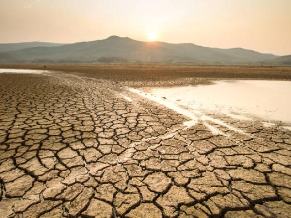 Cambio climático