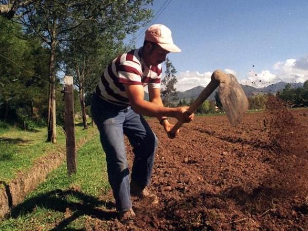 Agricultura