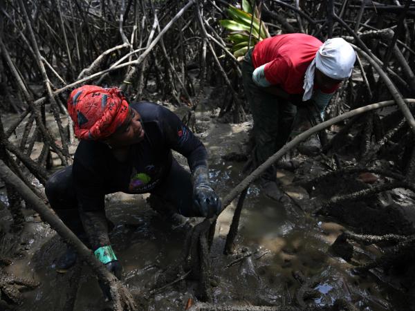 Conservación Nuquí