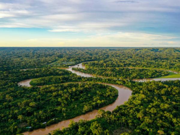 Amazonía