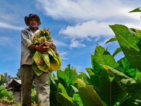 Agricultura