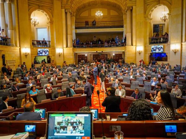 Plenaria de Cámara sobre la reforma a la salud