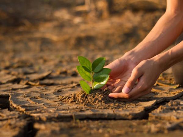 Cambio climático