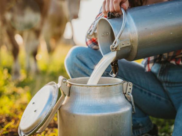 Producción de leche