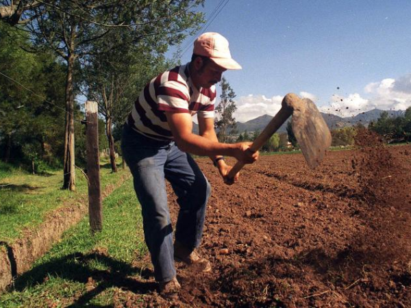 Agricultura