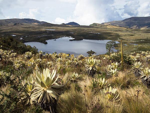 Biodiversidad