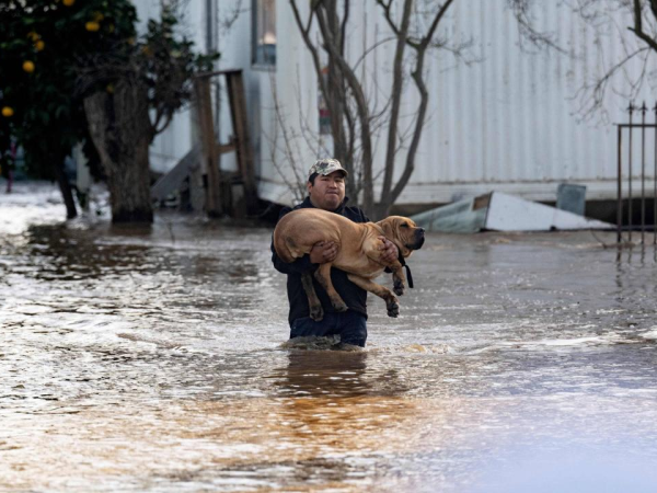 Crisis climática