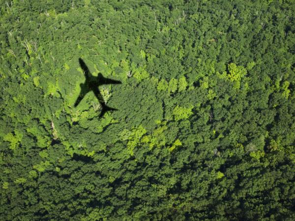 Latam y su programa de carbono Neutalidad