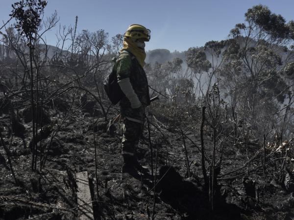 Incendio en los cerros orientales