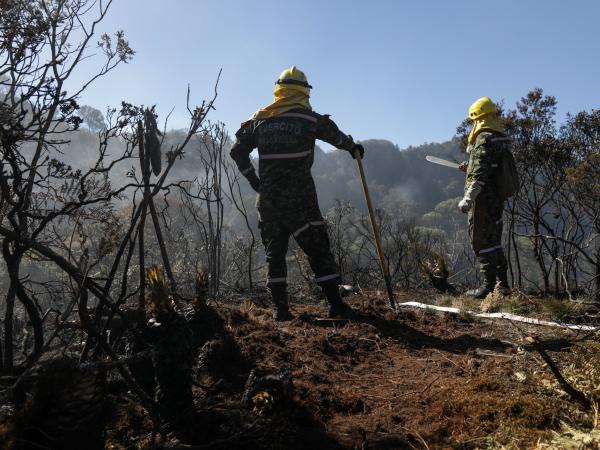 Incendios en Bogotá