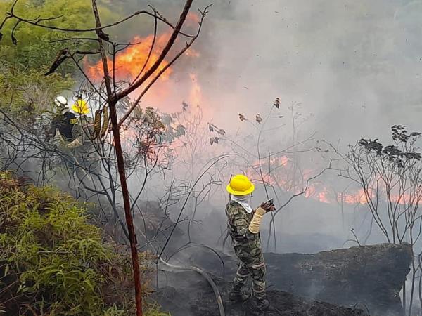 Incendios forestales