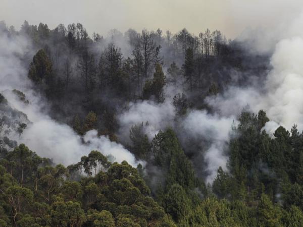 Incendios en Colombia