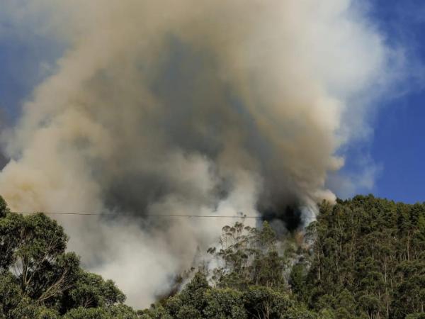 Incendio en el cerro El Cable