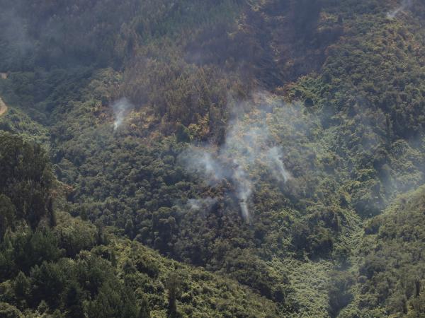 Incendios en Colombia