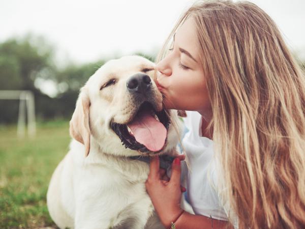 perro enamorado