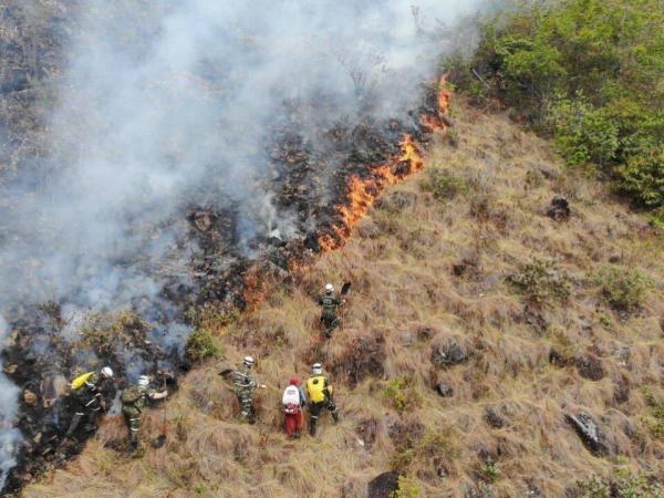 Incendio forestal