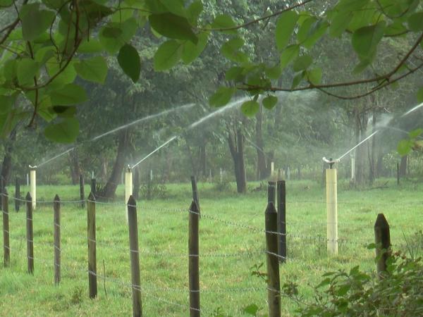 Cuidado del agua