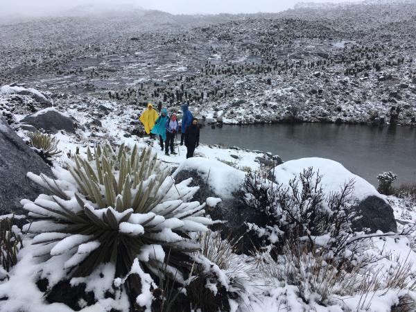 Los grandes lagos helados, también sufren el calentamiento.