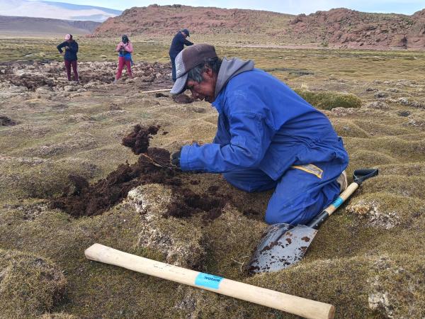 Bolivia reúne saberes para preservar el hábitat de las llamas