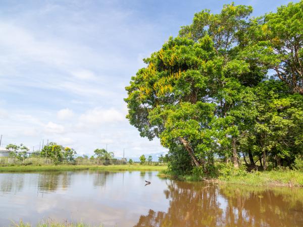 Ecoreserva El Zocay de Ecopetrol