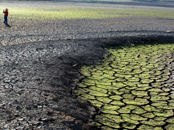 Cambio climático