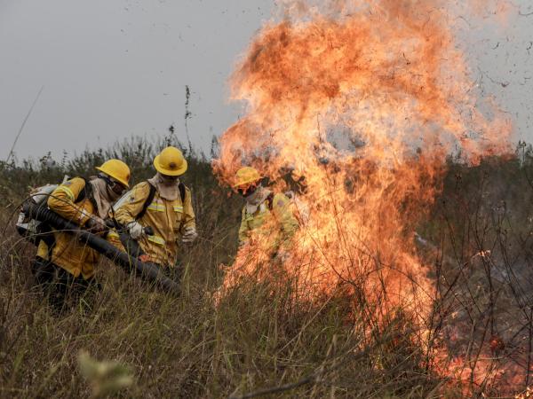 Incendios forestales