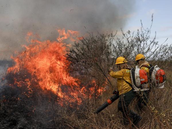 Incendios forestales