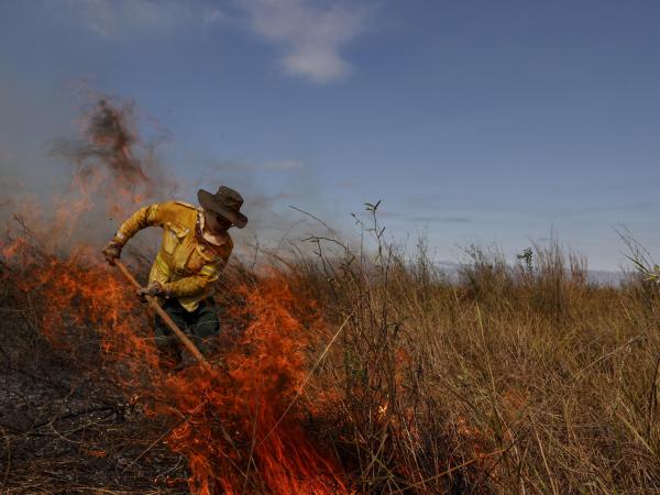 Incendios forestales