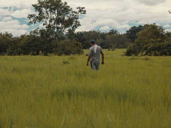 Compra de tierras