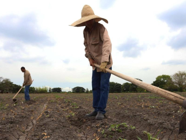 Compra de tierras