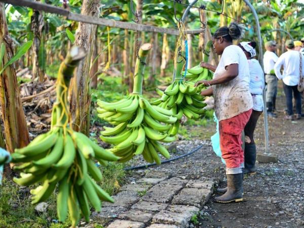 La compañía apoya a las comunidades.