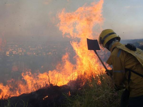 Incendios forestales