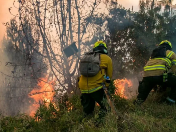 Incendio forestal