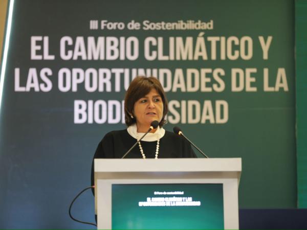 María Lorena Gutierrez, presidenta del Grupo Ava