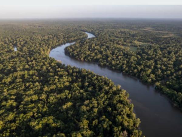 Río Amazonas