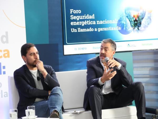 Foros Portafolio: un llamado a garantizar la seguridad energética