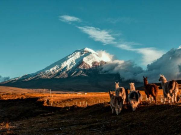 Ecuador