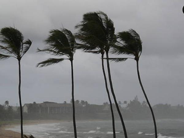 Tormenta tropical