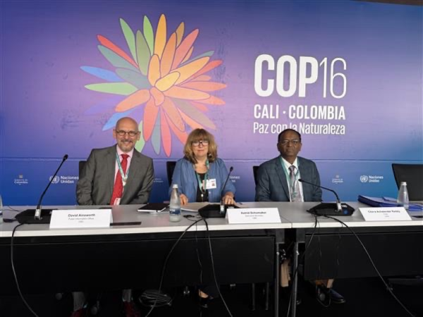 COP16