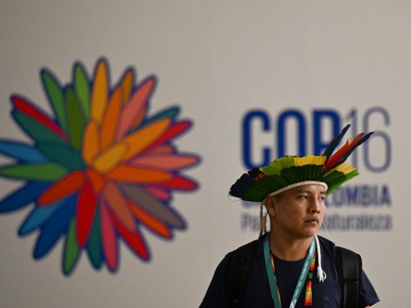 COP16